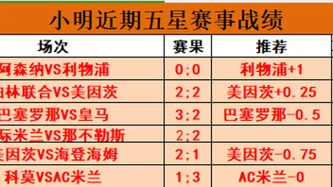 2025赛季上海申花赛程概览