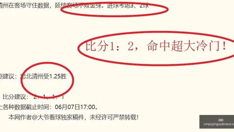 赛前专访新葡京：团战沟通出色，今日决战关键在野区争夺战